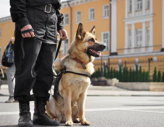 Vacant Property Security
